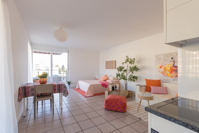 Bright space with terrace, perfect for singles (3)