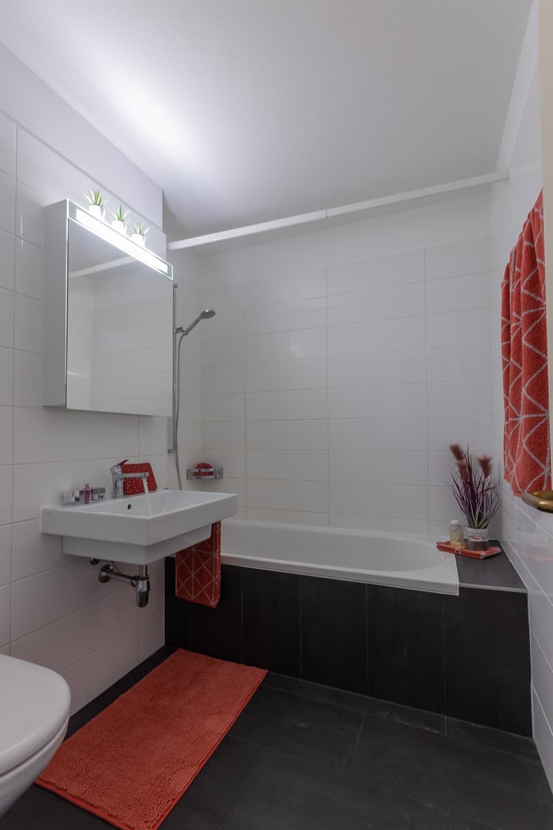 Bright space with terrace, perfect for singles (6)