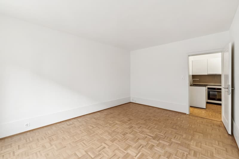A beautiful studio in Servette! (4)