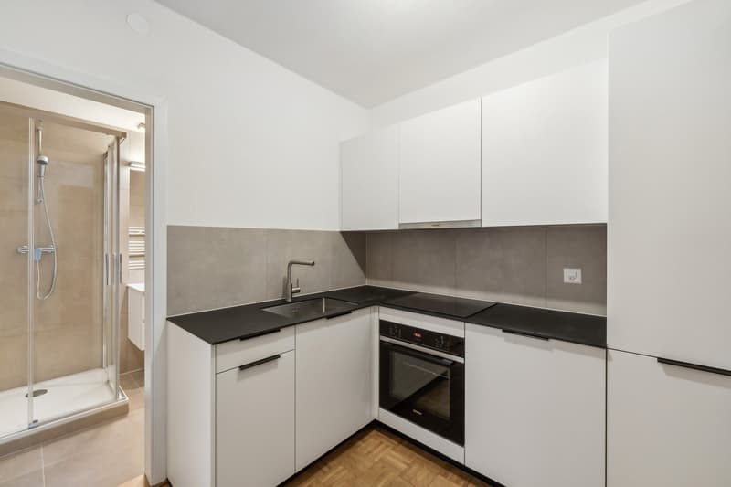 A beautiful studio in Servette! (3)
