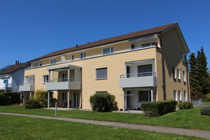 Heimelige Dachwohnung (1)