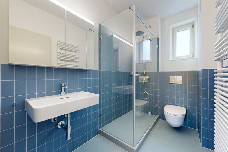 SEEBACHERHOF - Exklusive Wohnräume in historischem Glanz! (9)