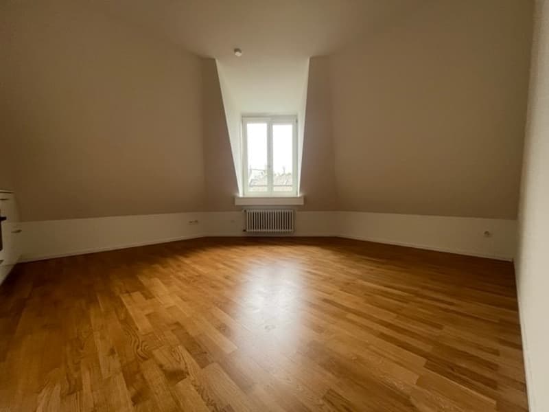 Great single apartment in prime location! (3)