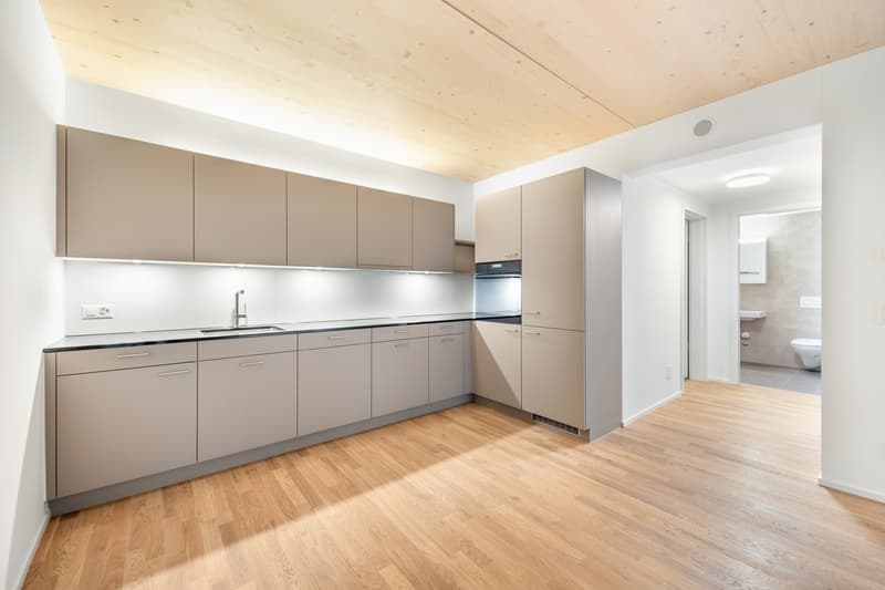 Appartement neuf directement sur Milchbuck (2)