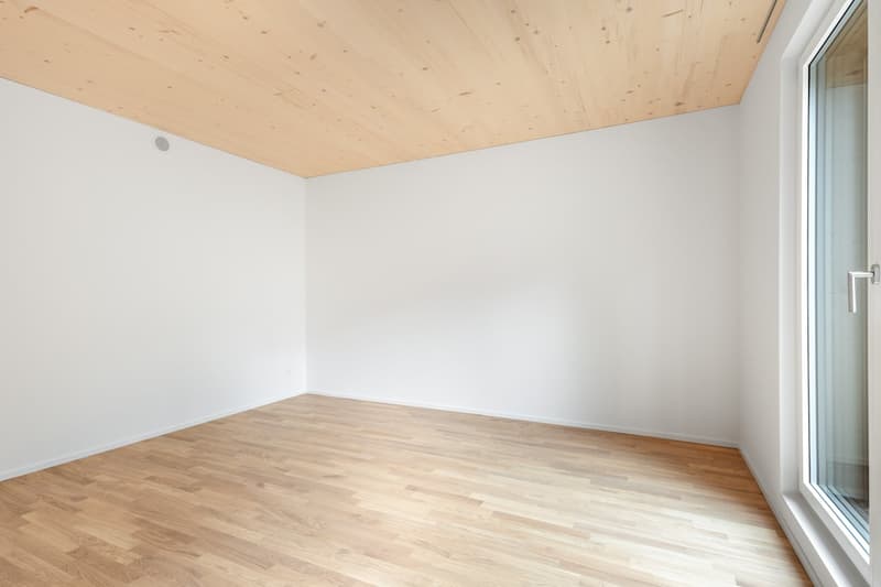 Appartement neuf directement sur Milchbuck (3)