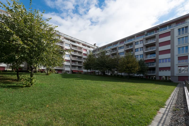For rent ! (1)