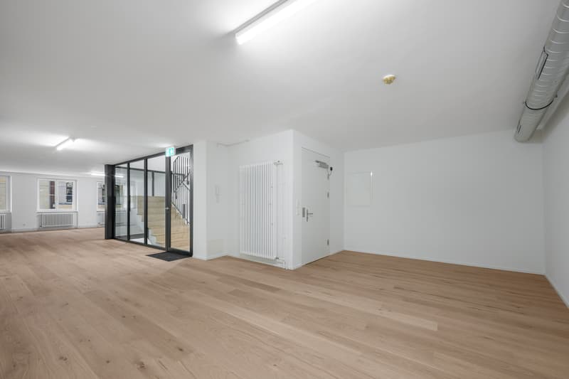 Your new office/studio in the heart of Basel (2)
