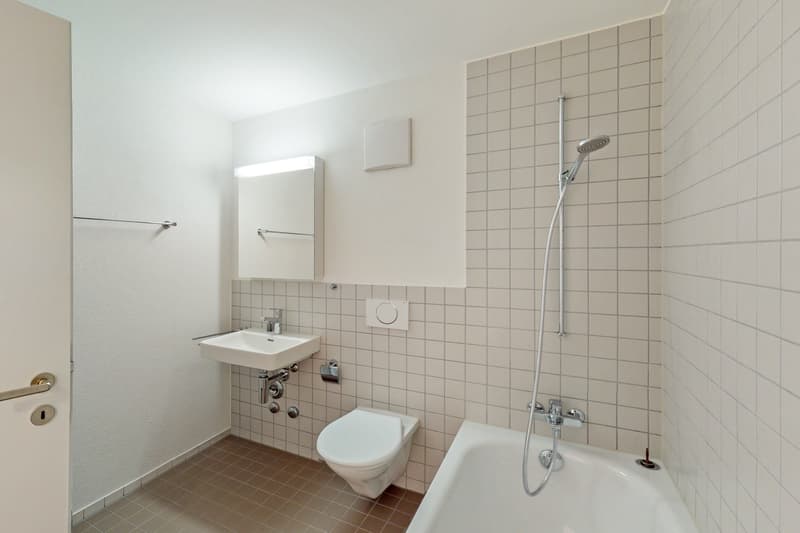 Temporarily available until end of August 2027 Exclusive attic apartment in the popular Wesemlinq (4)