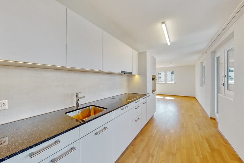 Temporarily available until end of August 2027 Exclusive attic apartment in the popular Wesemlinq (3)