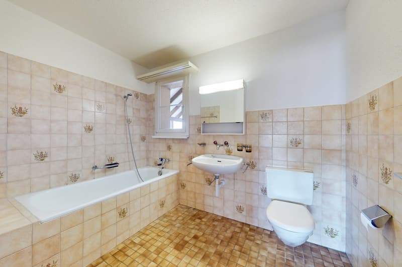 Dachwohnung mit geräumigen Grundriss! (11)