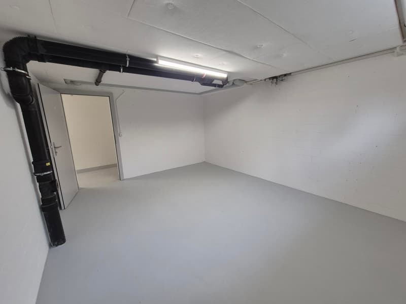 Votre refuge créatif au cœur de Winterthur disponible immédiatement ! (3)