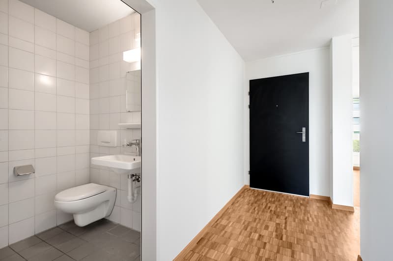Votre nouvelle oasis de bien-être au cœur de Wetzikon - Louer sans caution ! (5)