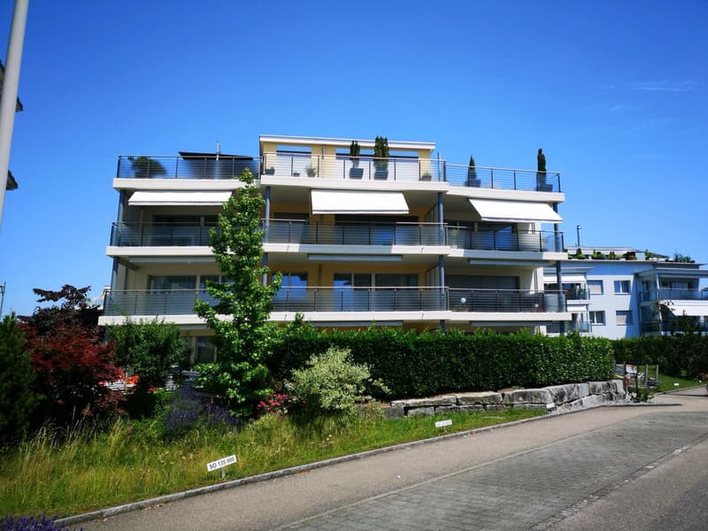 En haut. Vraiment spécial. Votre appartement en attique vous attend. (10)