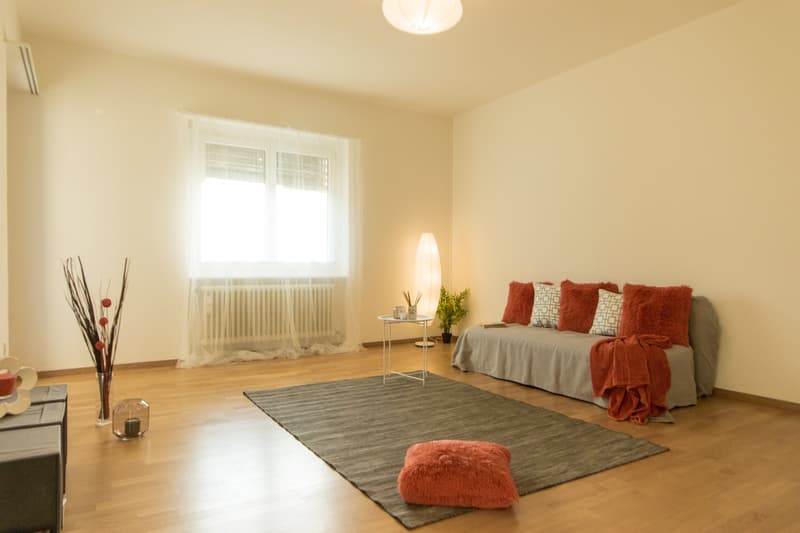Spacious and bright rooms just a few minutes from the center (4)