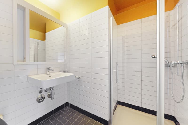 Exclusive apartment in a quiet residential area! (10)