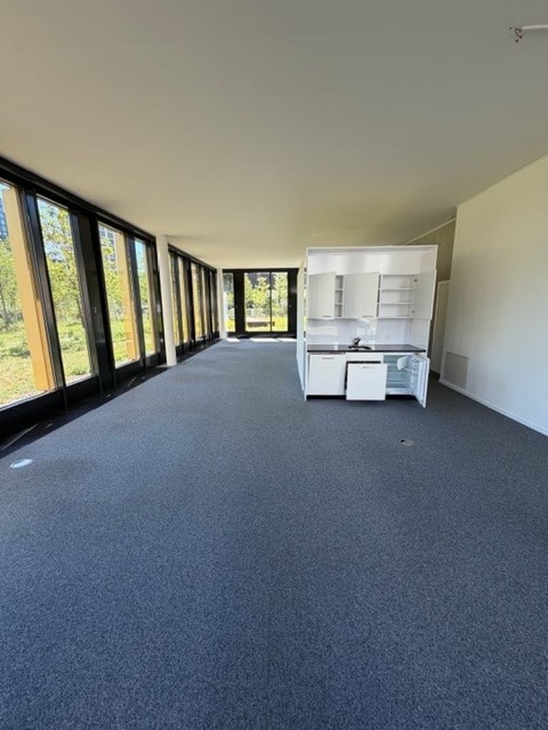 Attractive commercial space in Zürich Oerlikon (5)