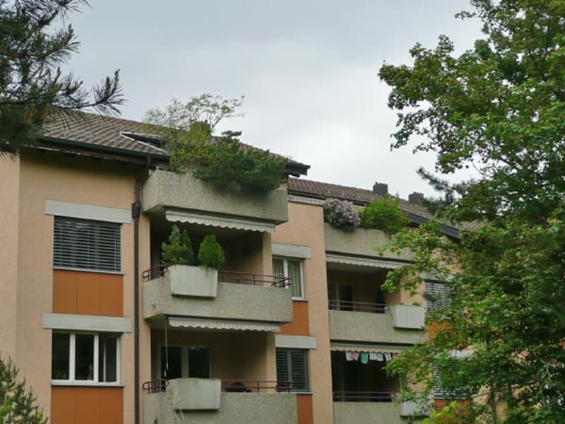 Habiter de manière moderne à Schwerzenbach, fraîchement rénové et bien connecté ! (1)