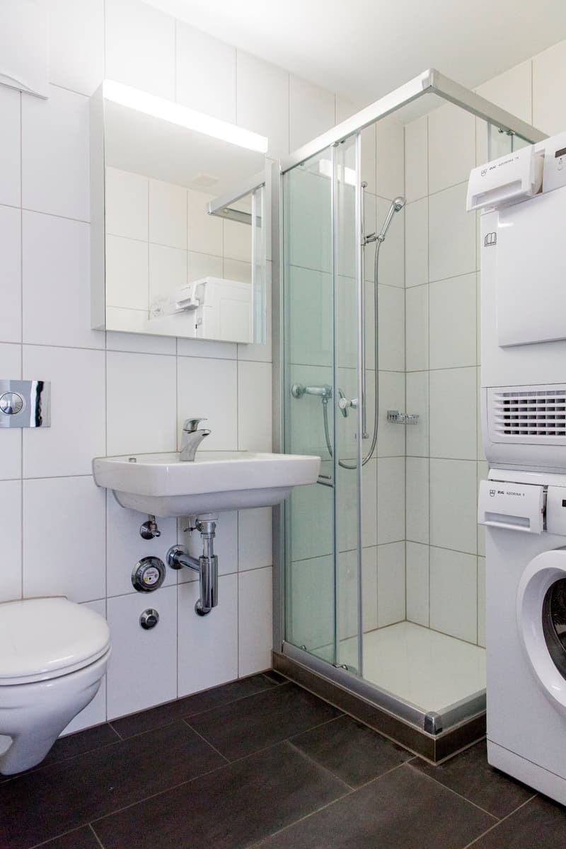 Attractive apartment in the Rosengarten (7)