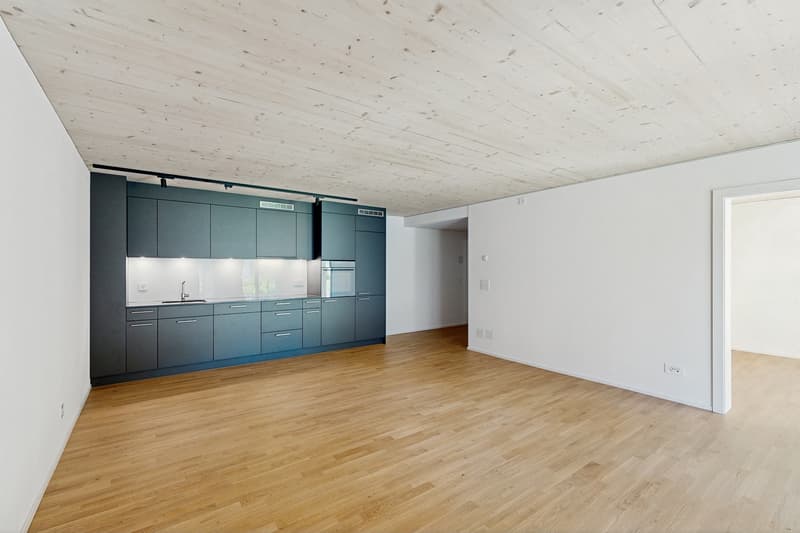 Appartamento in una posizione idilliaca su Pfannenstiel e Greifensee (8)