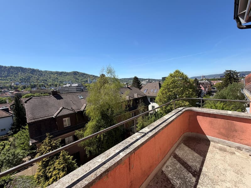 Zentrale und helle Wohnung in gepflegtem Quartier, befristet für 1 Jahr. (10)