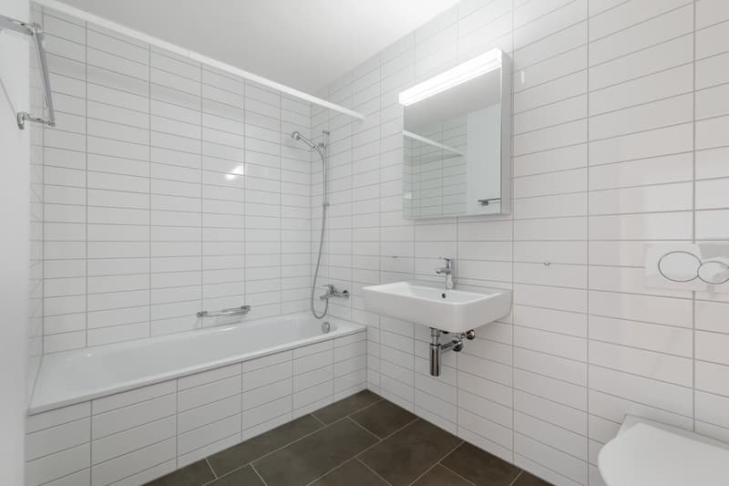 Appartement spacieux et moderne à louer (8)
