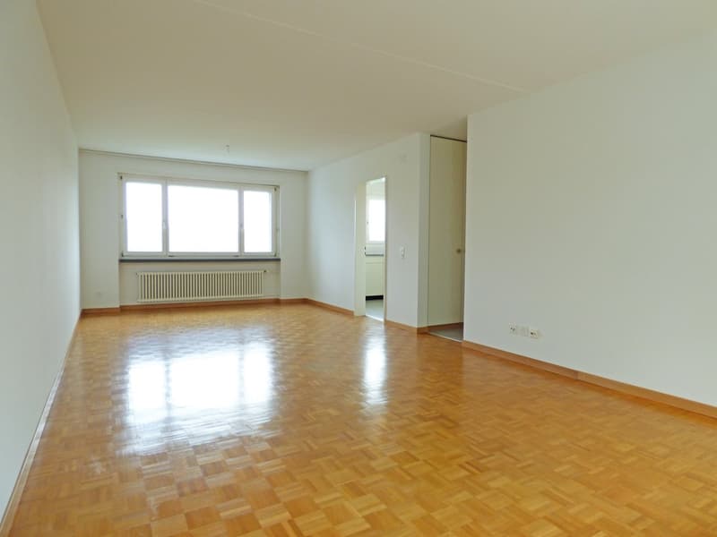 Your new home in a quiet environment - near Lake Zurich! (4)