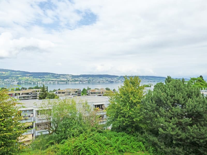 Your new home in a quiet environment - near Lake Zurich! (11)