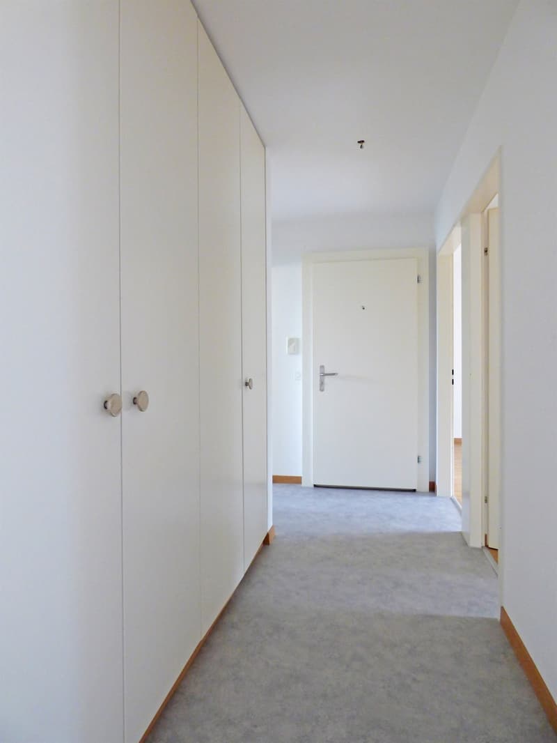 Your new home in a quiet environment - near Lake Zurich! (3)