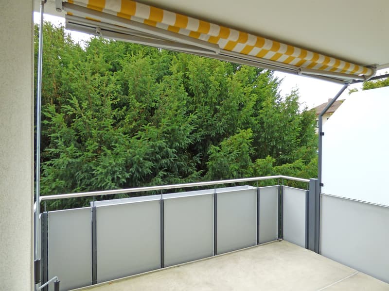 Your new home in a quiet environment - near Lake Zurich! (10)