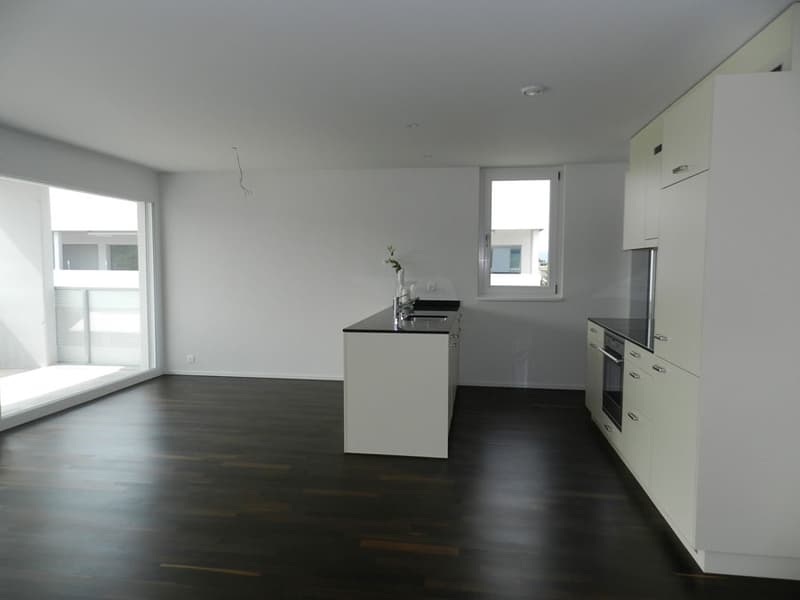 Grosszügige und moderne Wohnung mit Sitzplatz in Villmergen (2)