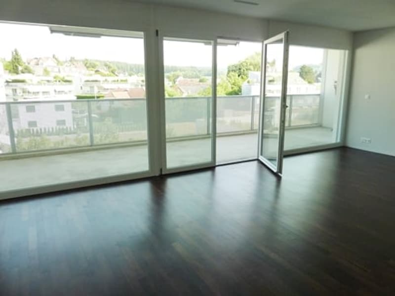 Grosszügige und moderne Wohnung mit Sitzplatz in Villmergen (4)