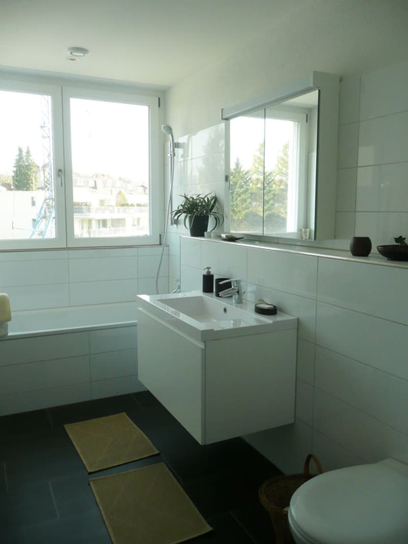 Grosszügige und moderne Wohnung mit Sitzplatz in Villmergen (3)