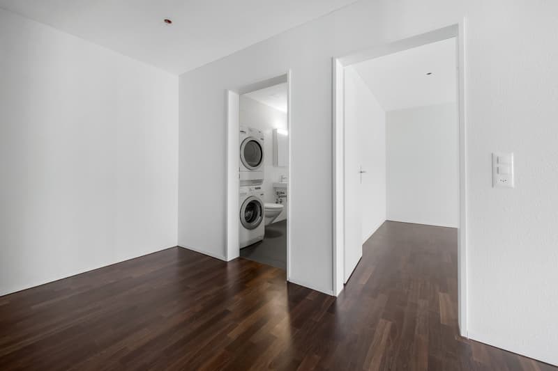 Ampio appartamento moderno in un ambiente verde (11)