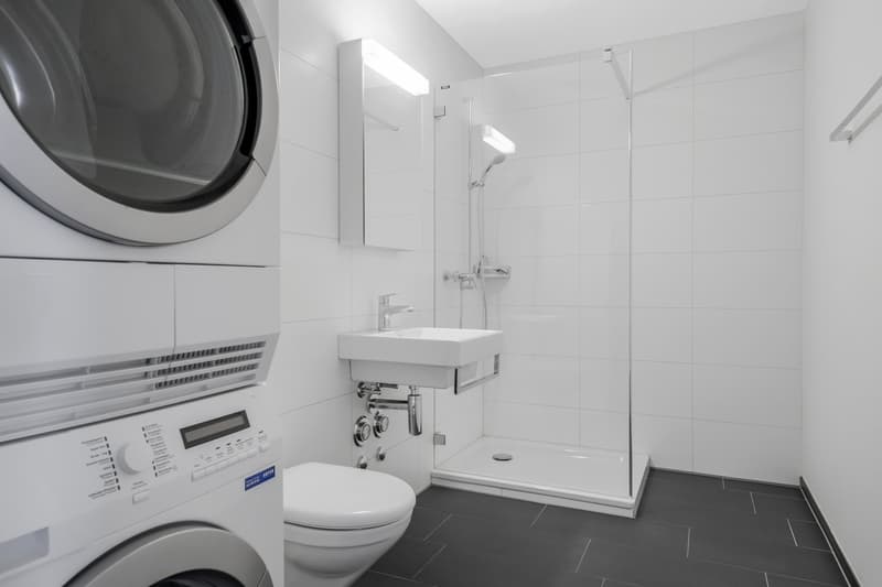 Ampio appartamento moderno in un ambiente verde (12)