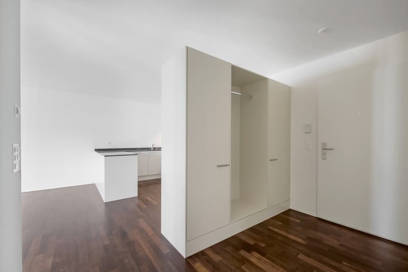 Ampio appartamento moderno in un ambiente verde (9)