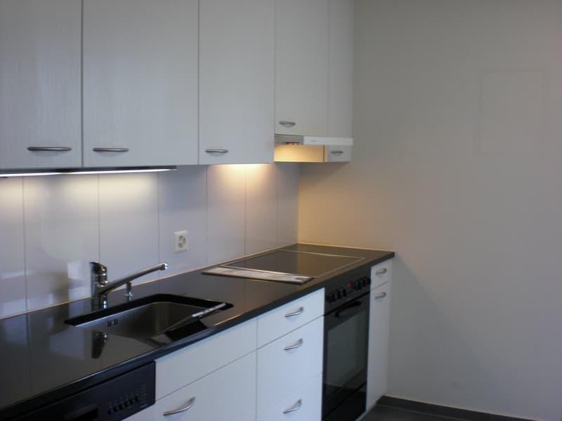 Appartamento a Zürich-Höngg (4)