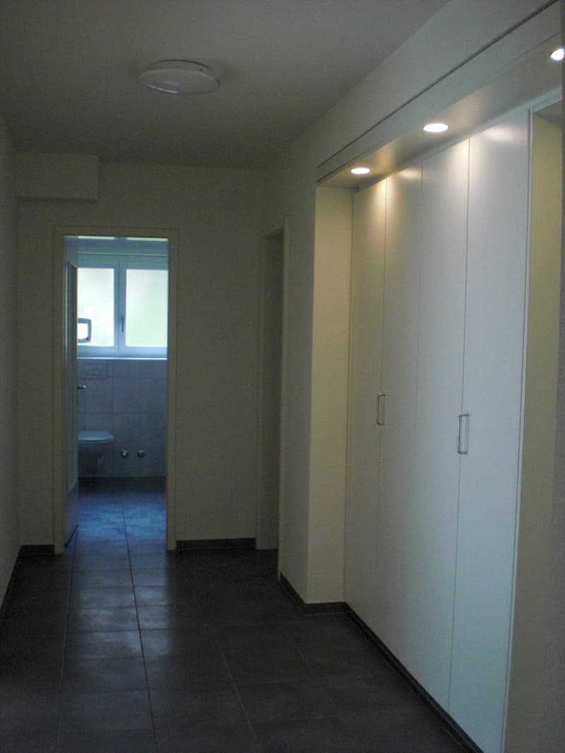 Appartamento a Zürich-Höngg (3)