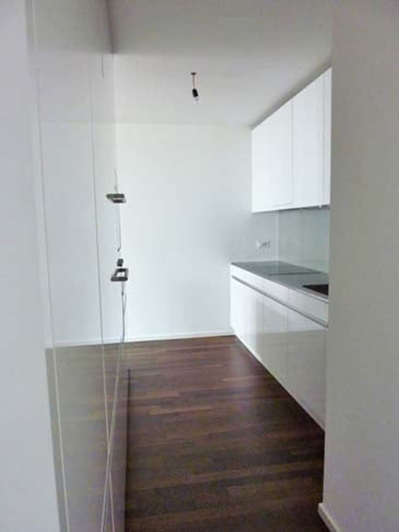 Dietikon - Appartamento moderno e bello nel Limmatfeld (3)