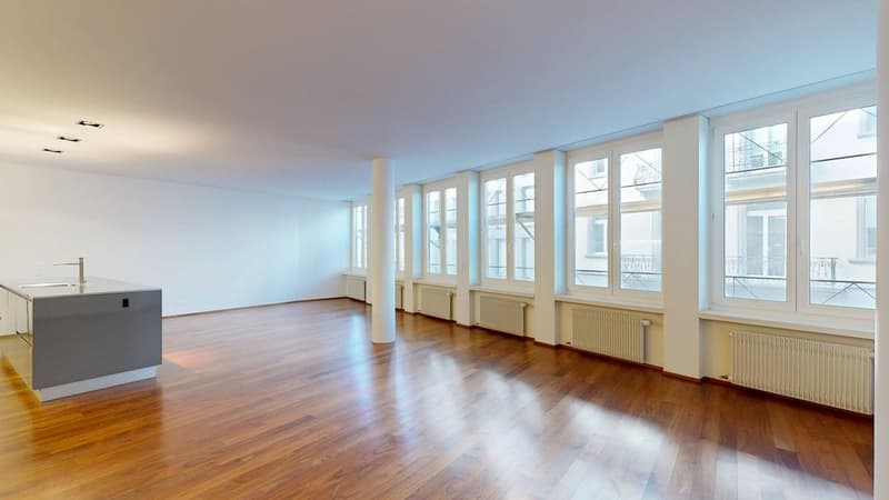 Moderne Loftwohnung im Herzen der Altstadt Luzern (5)