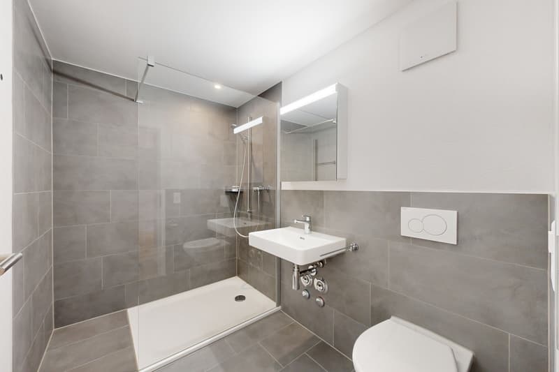 Appartement étudiant au-dessus de la ville de St-Gall (2)