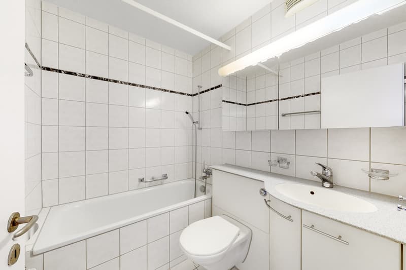 Living in a preferred residential area (3)