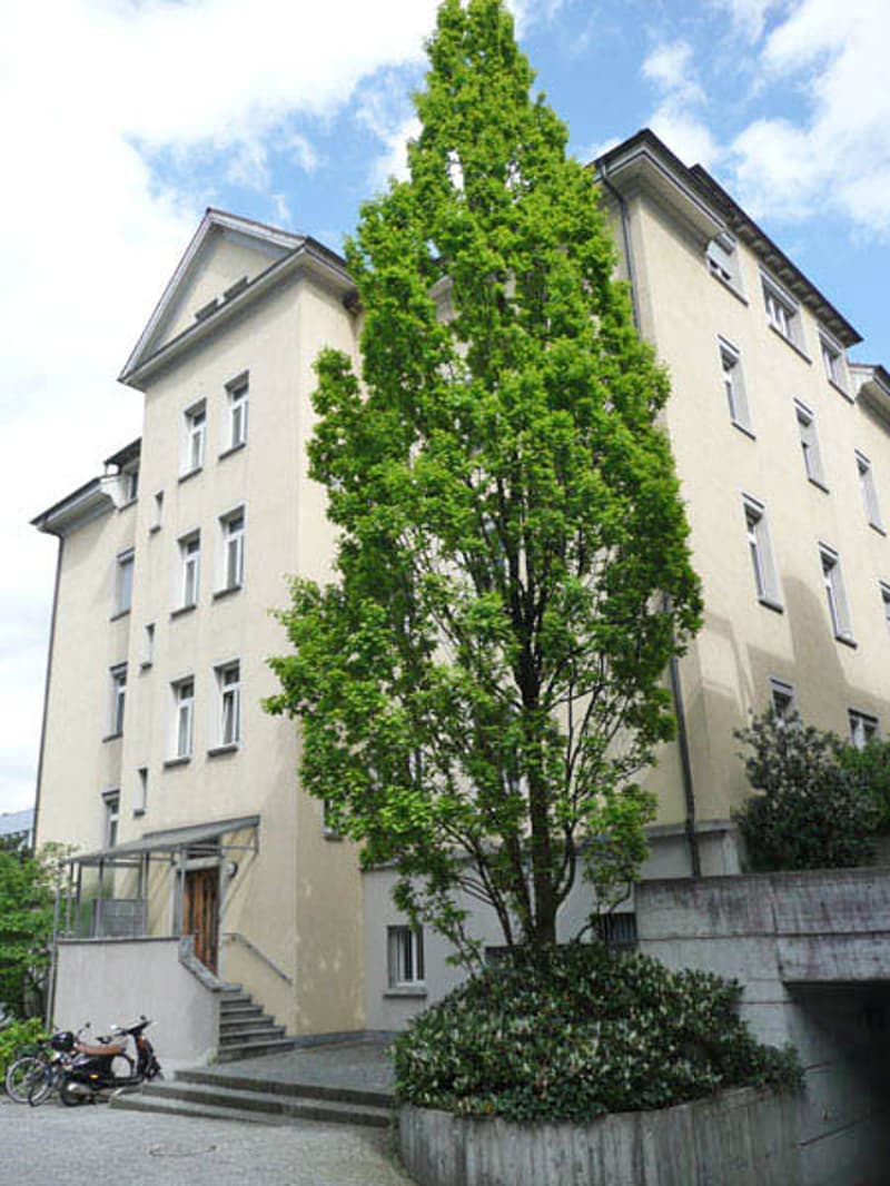 Einstellplatz an zentraler Lage (Ladestation verfügbar) (1)