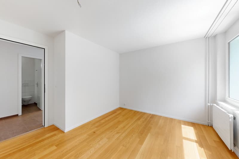 Appartement totally rénové avec soleil du soir (3)