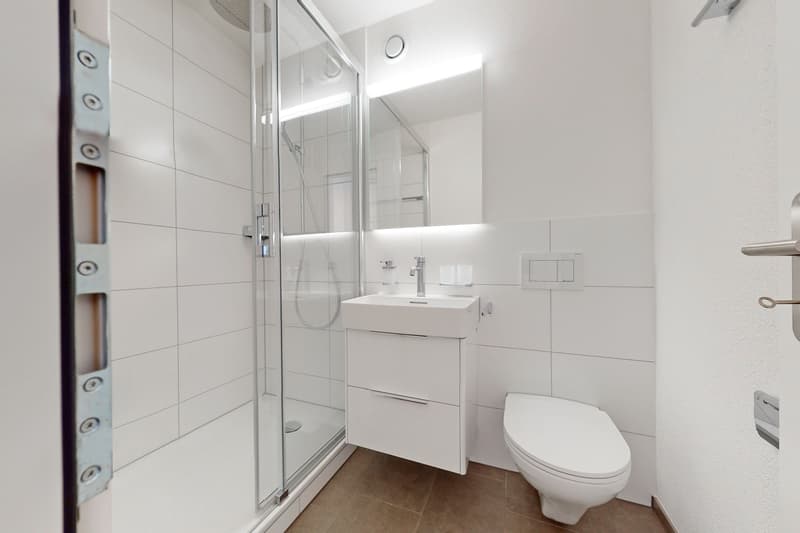 Appartement totally rénové avec soleil du soir (5)