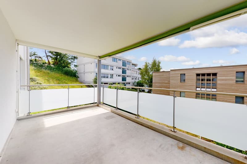 Appartement totally rénové avec soleil du soir (6)