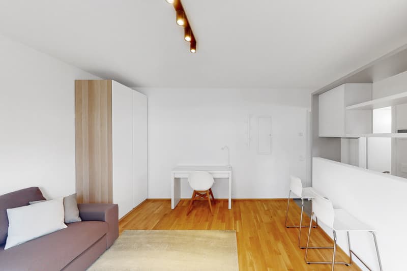 Espaces rénovés au cœur de Lugano avec terrasse privée (4)