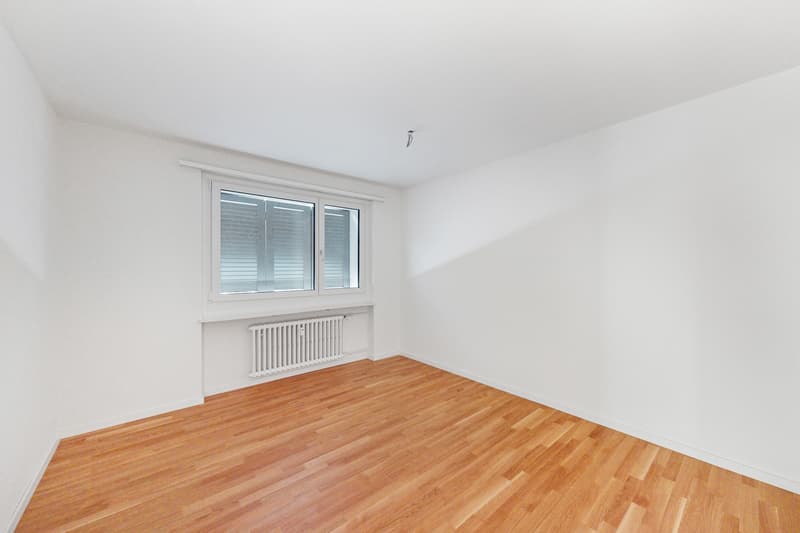Appartamento di 3 camere accogliente (2)