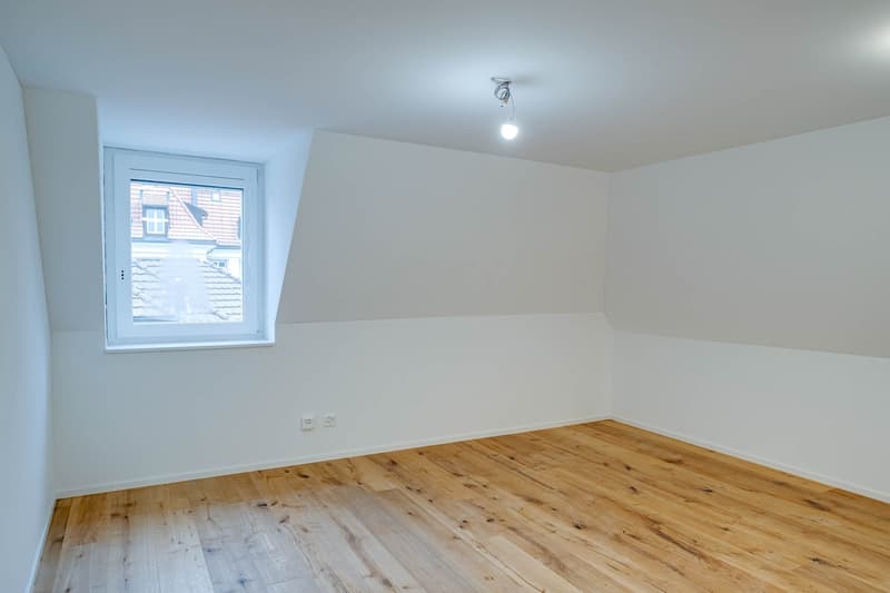 Great single apartment! (5)