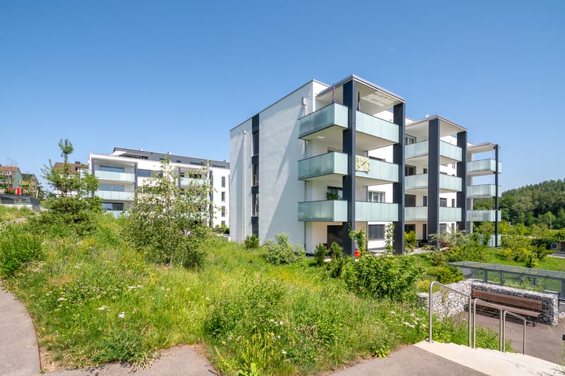 Appartement 4.5 pièces spacieux dans le développement ensoleillé de Sennenwies (2)