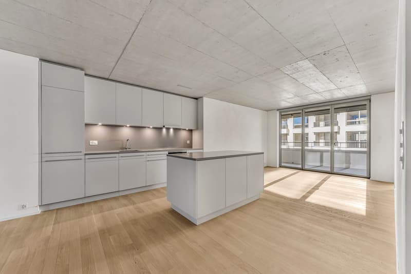 Apartment in the Zwicky Area (2)